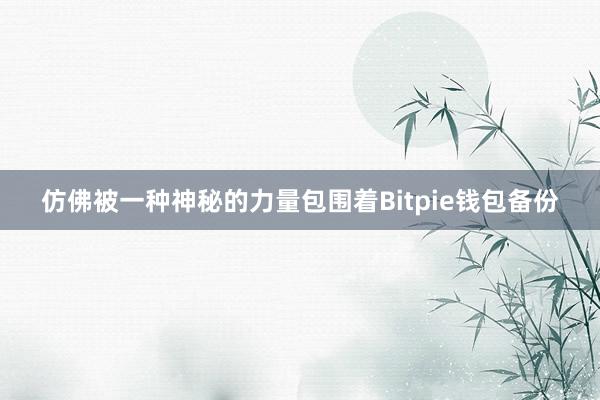 仿佛被一种神秘的力量包围着Bitpie钱包备份