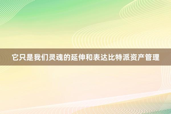 它只是我们灵魂的延伸和表达比特派资产管理