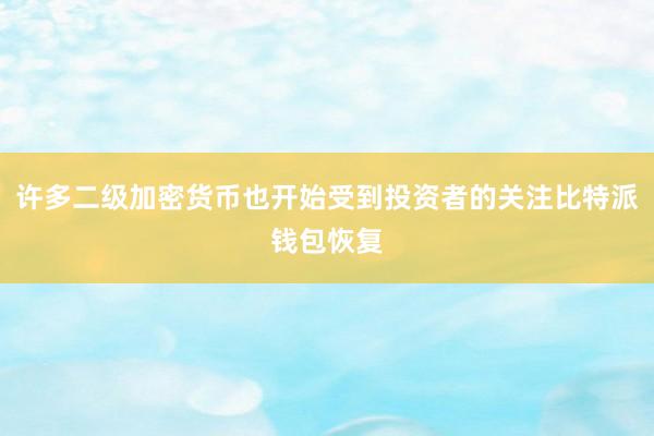 许多二级加密货币也开始受到投资者的关注比特派钱包恢复