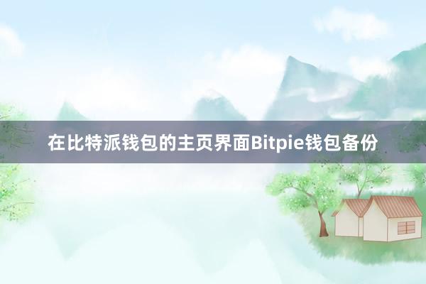 在比特派钱包的主页界面Bitpie钱包备份