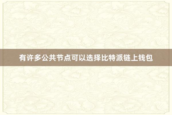 有许多公共节点可以选择比特派链上钱包