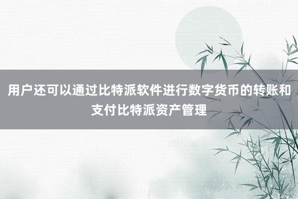 用户还可以通过比特派软件进行数字货币的转账和支付比特派资产管理