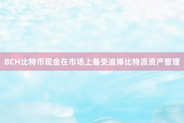 BCH比特币现金在市场上备受追捧比特派资产管理