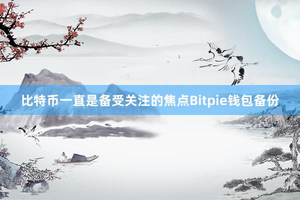 比特币一直是备受关注的焦点Bitpie钱包备份