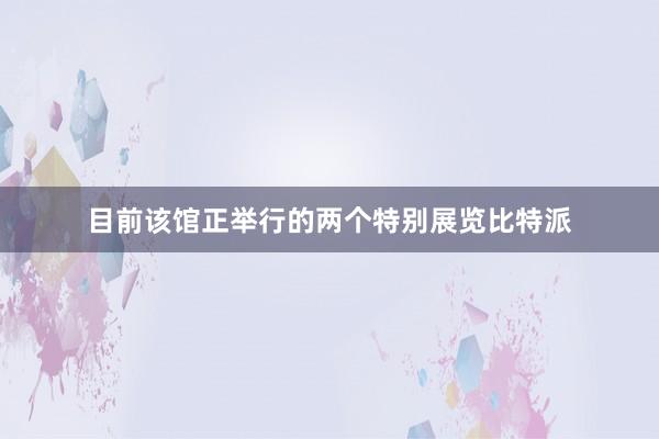 目前该馆正举行的两个特别展览比特派