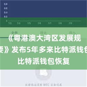 《粤港澳大湾区发展规划纲要》发布5年多来比特派钱包恢复